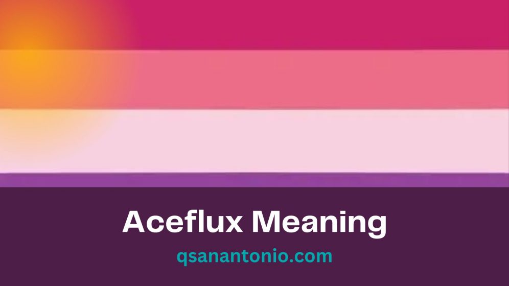 Aceflux Meaning